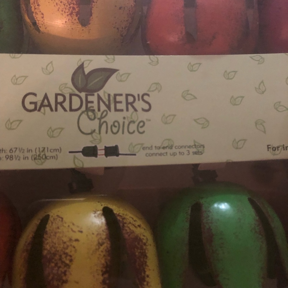 NWT Vintage-y & Funky Indoor/Outdoor Decorative Lights by Gardener’s Choice - Picture 4 of 6
